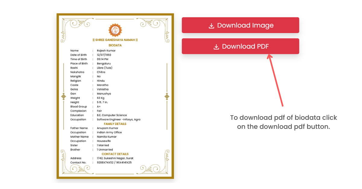 download pdf of biodata